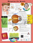 Blueprint for Health Your Eyes Anatomical Chart - Paper